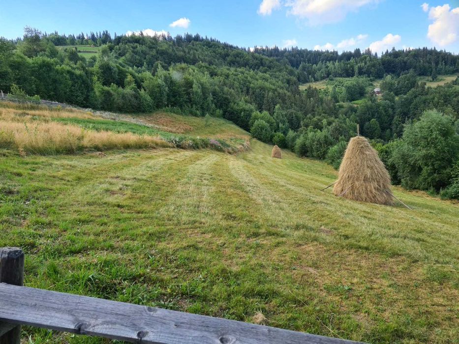 Teren intravilan la munte Matisesti, Horea, Alba - Transursoaia