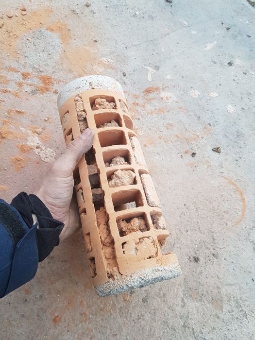 Gaura hota, gaura carota. Timișoara, Lugoj.