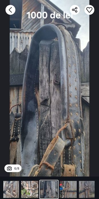 Hamuri cai din piele