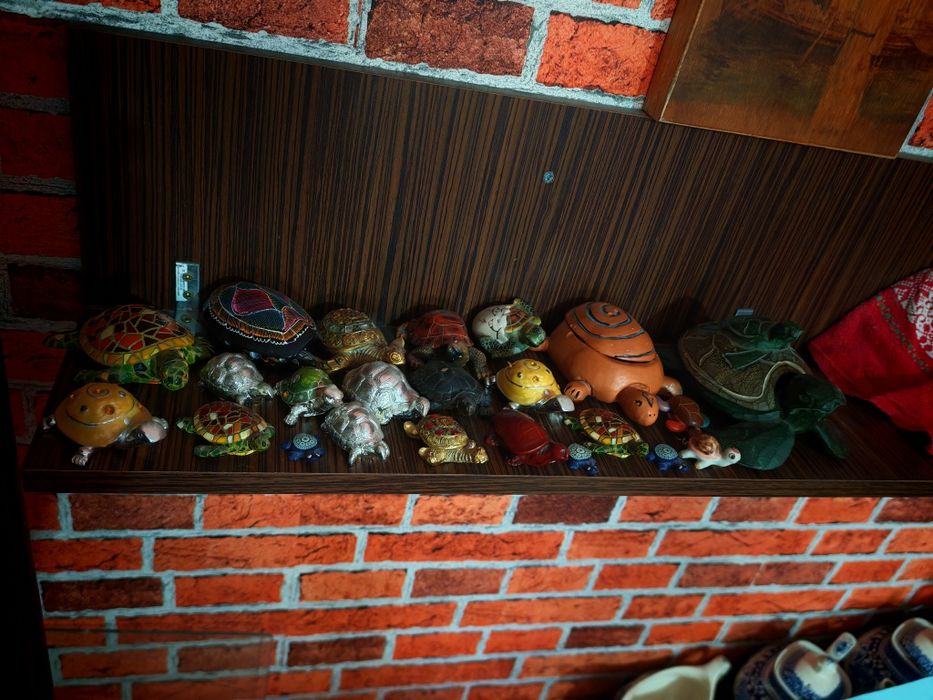 Colecție broscute țestoase