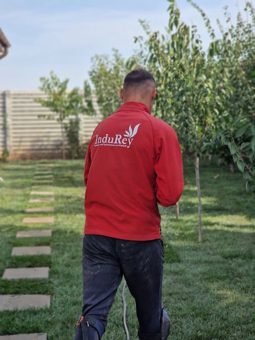 Gazon natural rulouri sau semințe