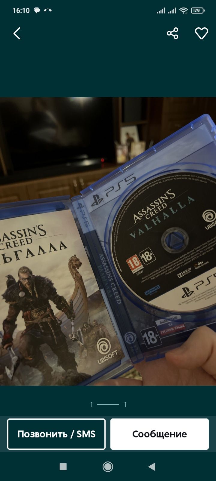 Assassin's Valhalla