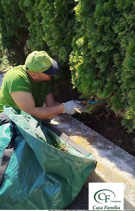 Професионално почистване и поддръжка: дом, двор, басейн, тревни площи