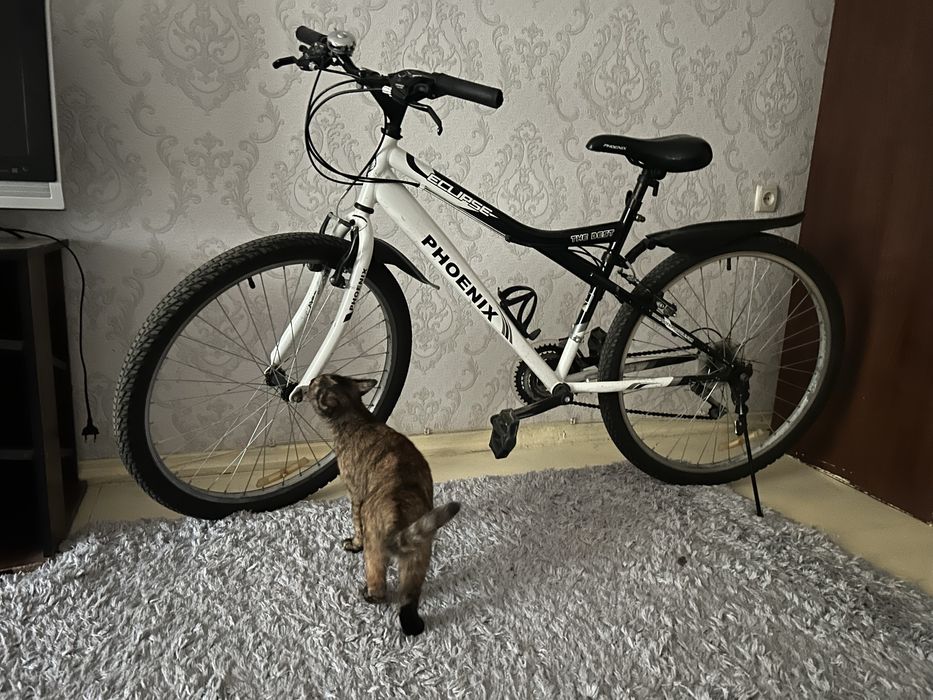 Велосипед спортивный