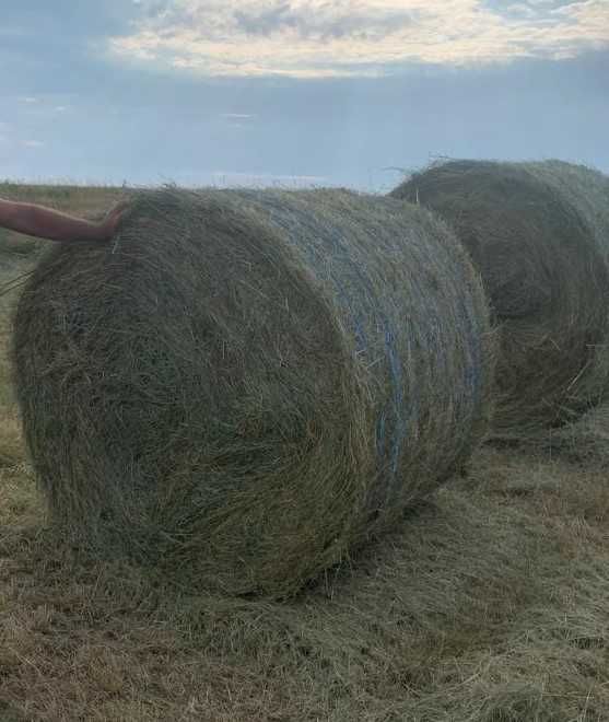 Presa Baloti Krone KR155