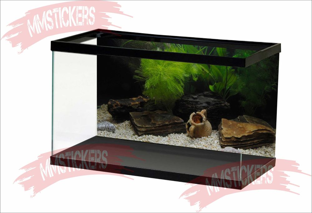 Фон за аквариум Изработка на фонове за аквариум