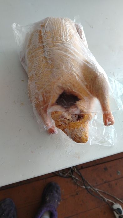 Продам мясоИндоутки