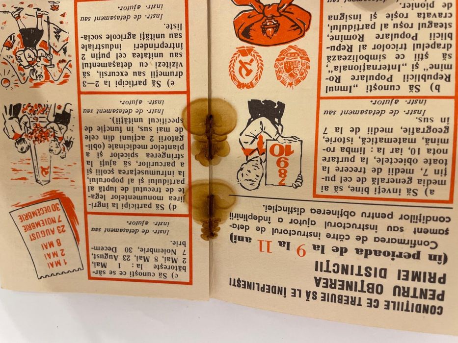 carnet de pionieri