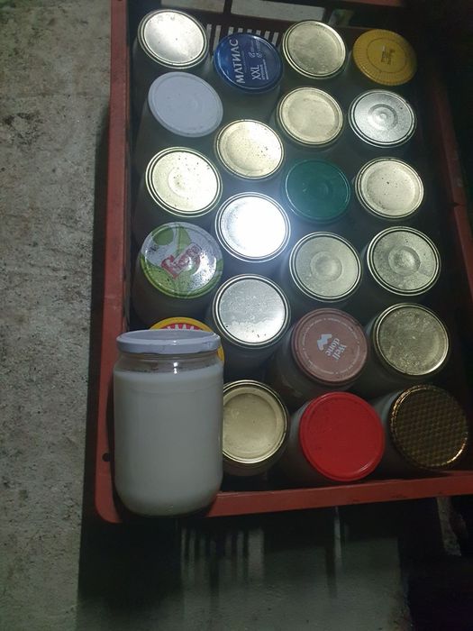 Домашна Свинска мас