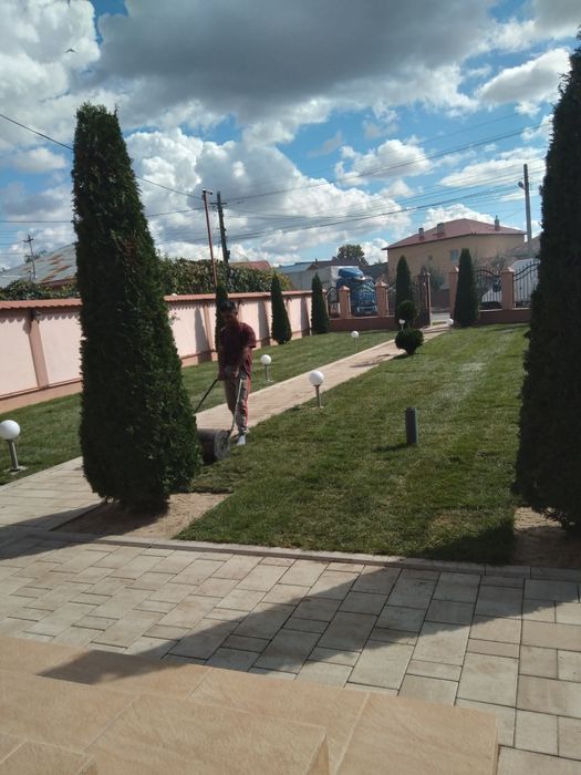 Gazon rulou calitatea premium