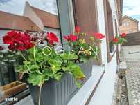 Garsoniera de vanzare Turnisor – 0% comision