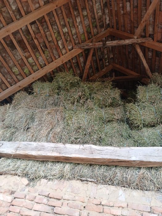 Baloti  de fan și otava si lucerna  1300 Baloti