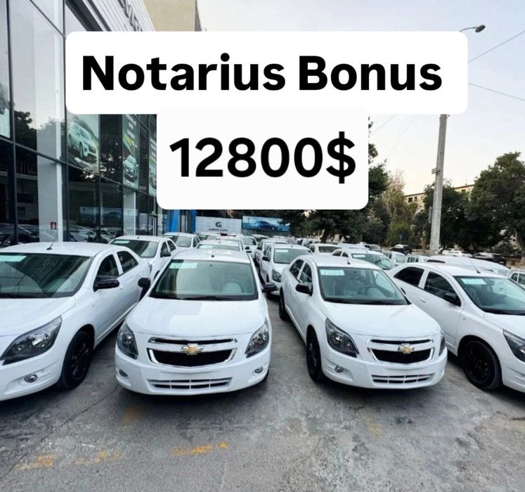 **Cobalt MSM midnight sport motor 2026