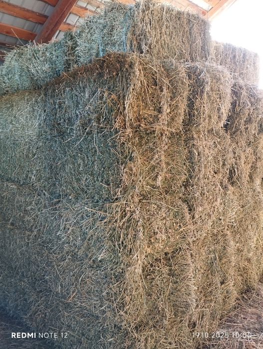 Vând baloți lucernă coasa 2-3-4