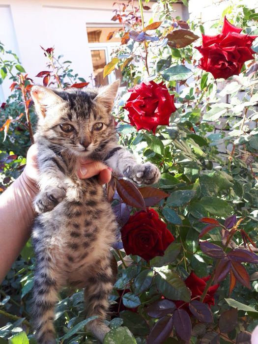Мальчишки ждут своего человека!