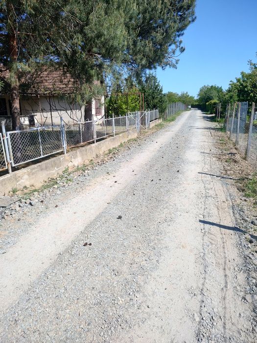 Casă de vacanță Satu Mare