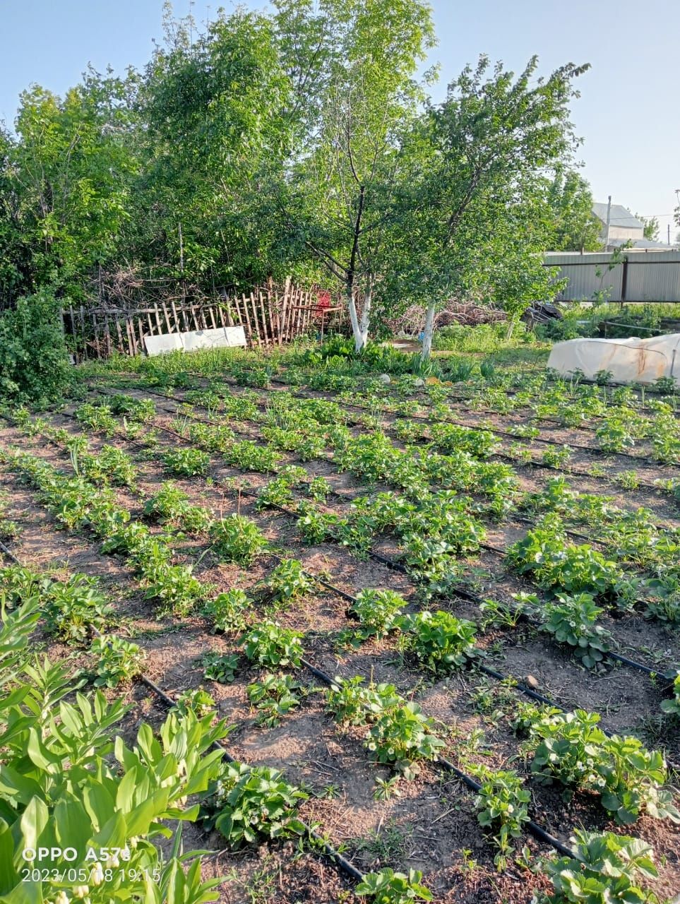 Продам дачу. На первой дачной