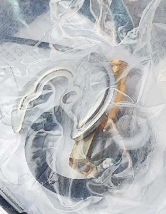 Смеситель Бесконтактный Grohe Germany