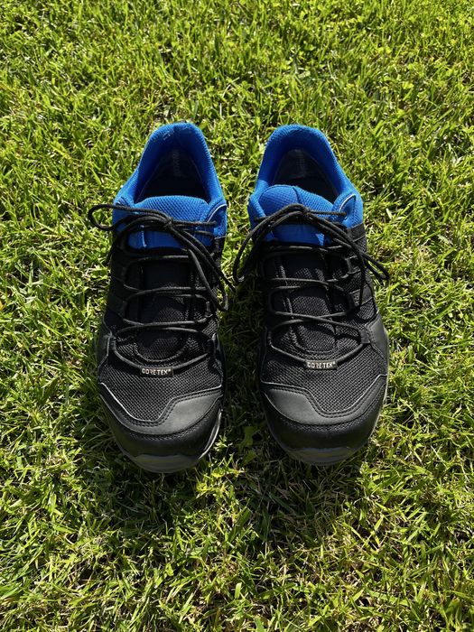 Adidas Terrex AX2R GTX
