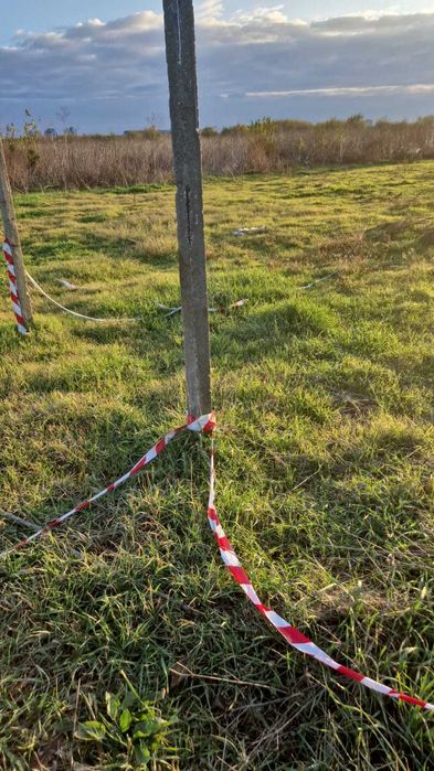 Teren Varful Plesita-Piscul Pietrei, Cartierul PADUREA BANEASA