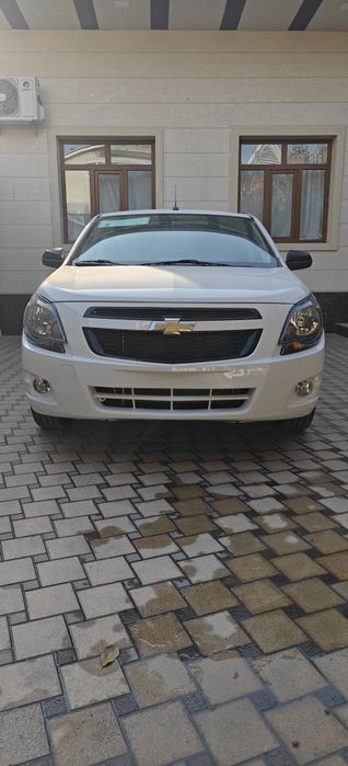 Cobalt midnight MCM 2026