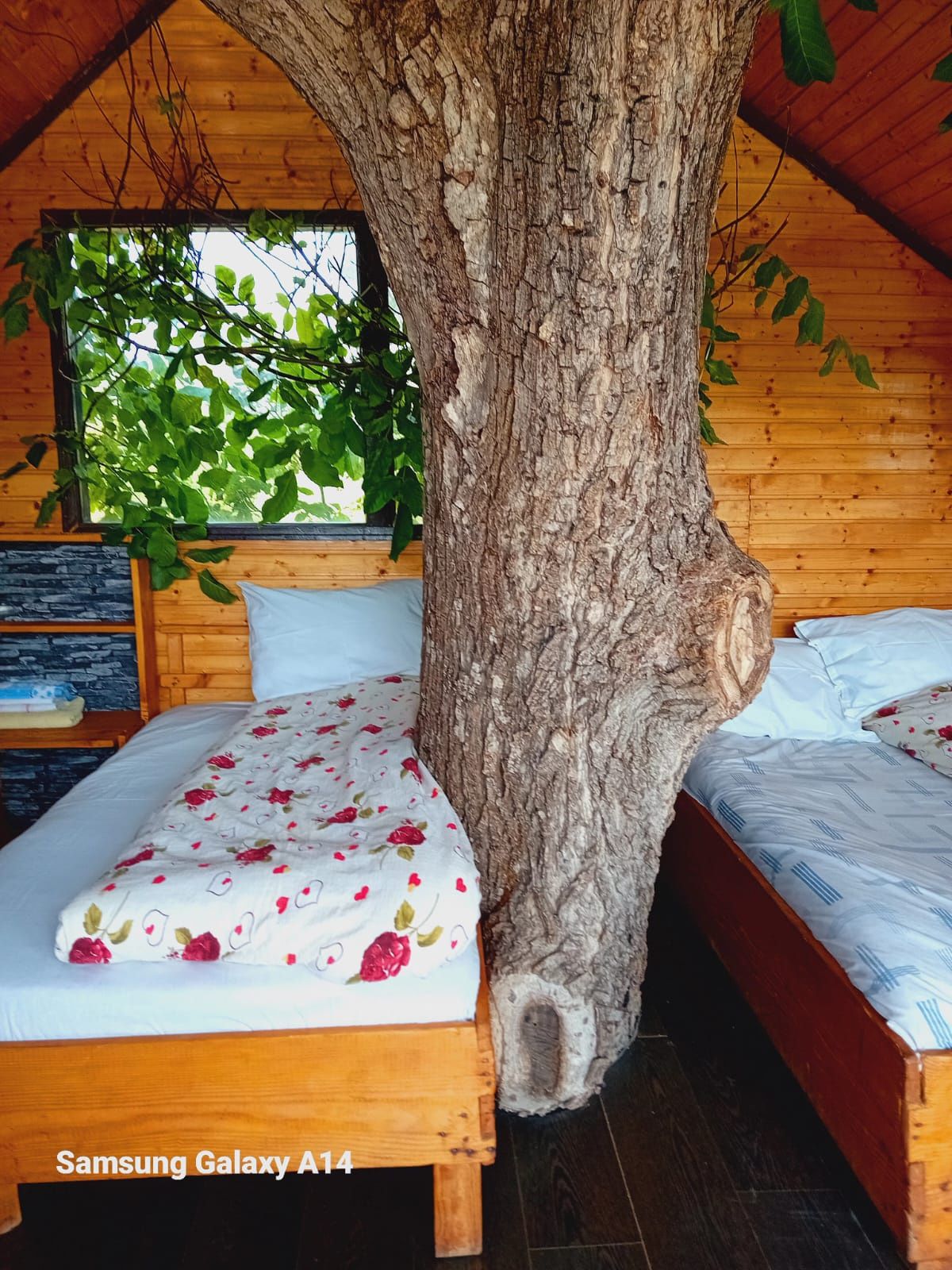 Cabana de vinzare