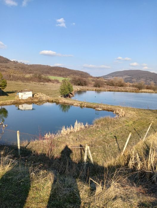 Рибарник с овощна  градина