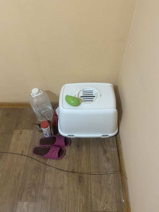 Лоток домик для кошек