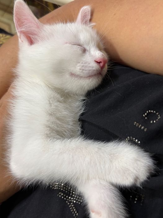 Прежде чем звонить, читайте!!!