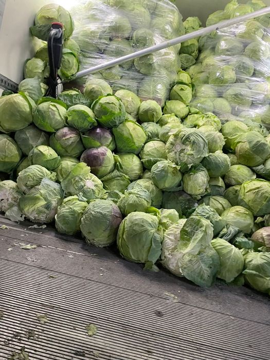 Българско зеле кьосе