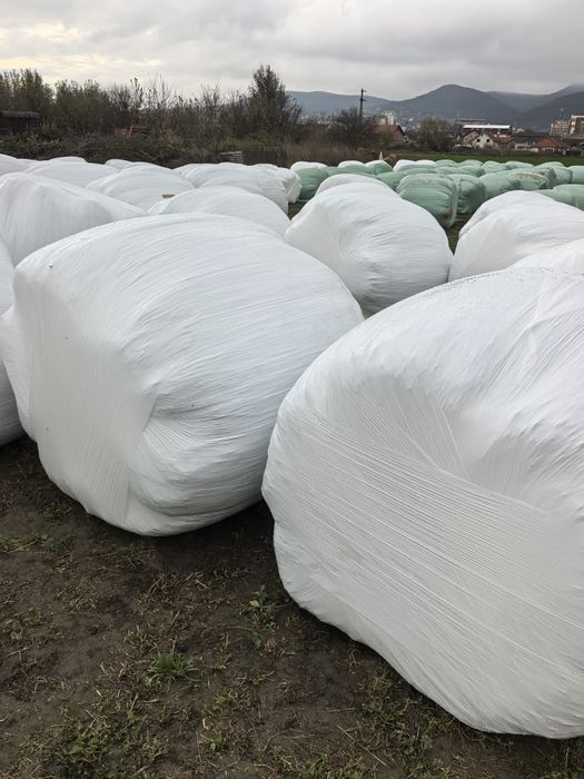 Baloți lucernă  producție 2025