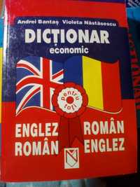 Dictionar economic englez-roman roman-englez