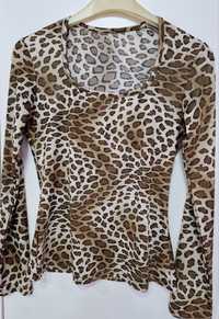 Bluza AnimalPrint (Multicolor)