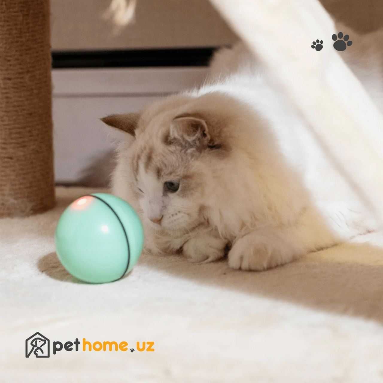 Интерактивная игрушка-мяч для кошек WWVVPET Interactive Cat Toys Ball