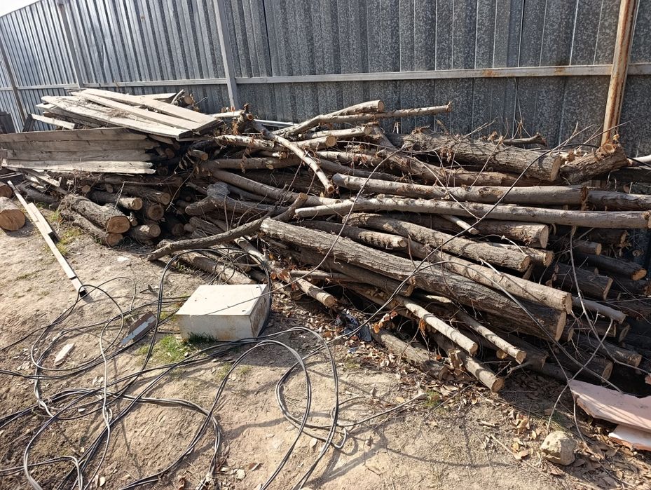 Карагач Қара ағаш отын