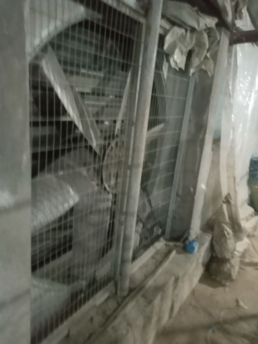 Выдается в аренду