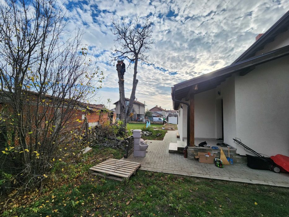 Рязане на Опасни Дървета