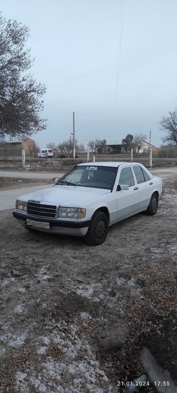 Mercedes Benz W 201.