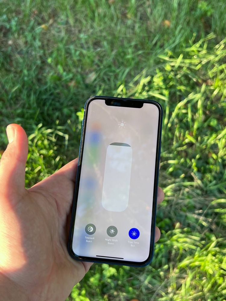 iPhone 12 128gb 100%