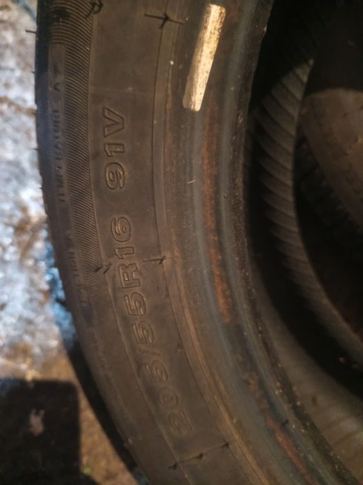 Гуми 205.55.16 м+с