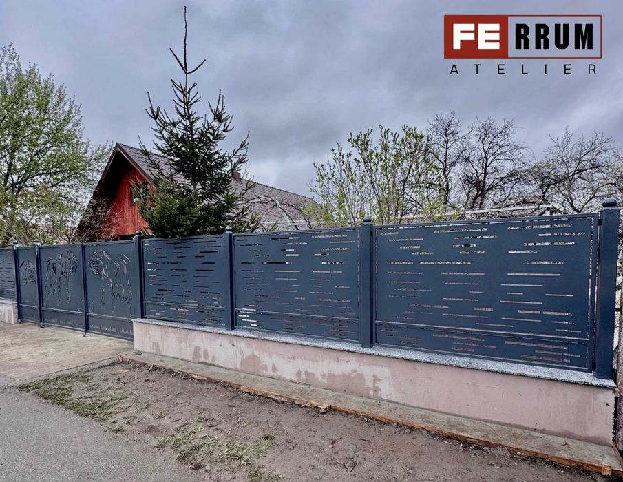 Porti si panouri de gard decupate la plasma - 500 RON