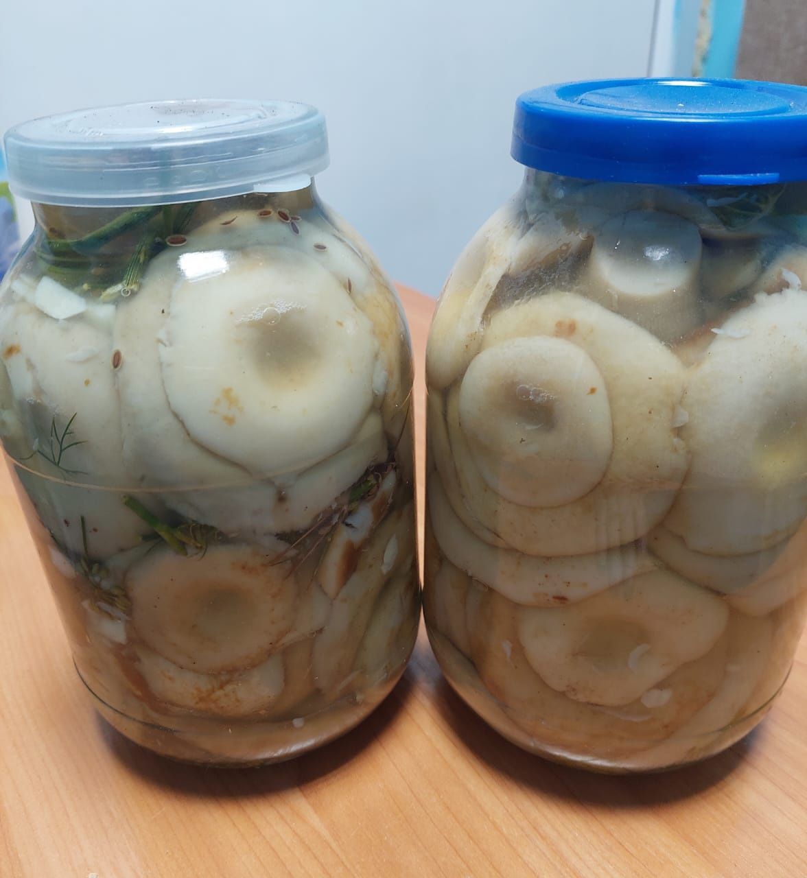 Продам грузди свежего посола.
