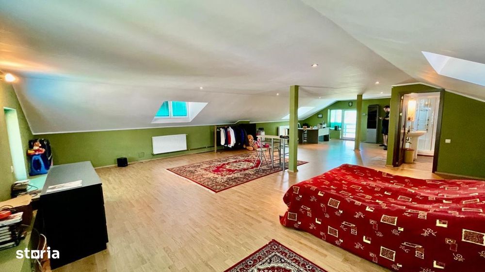 Proprietate Exceptionala cu Potential Dublu in Valea Ursului, Arges