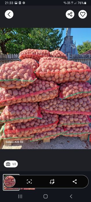 Vand cartofi de samanta