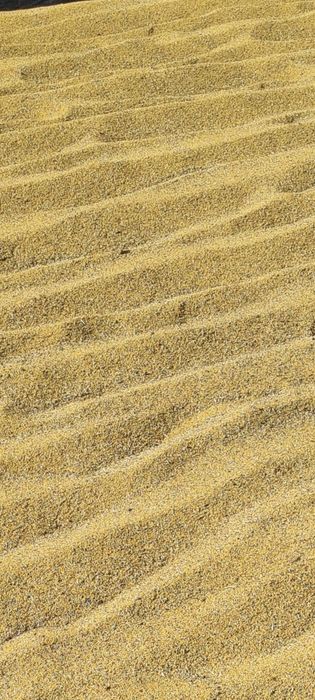 Lucernă de vânzare