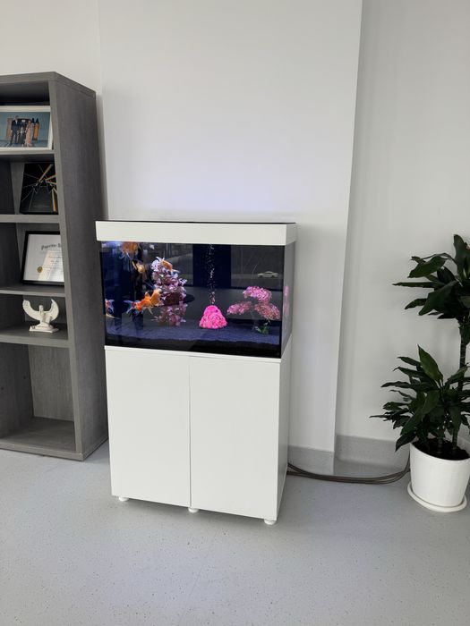 Acvariu Complete with Fish