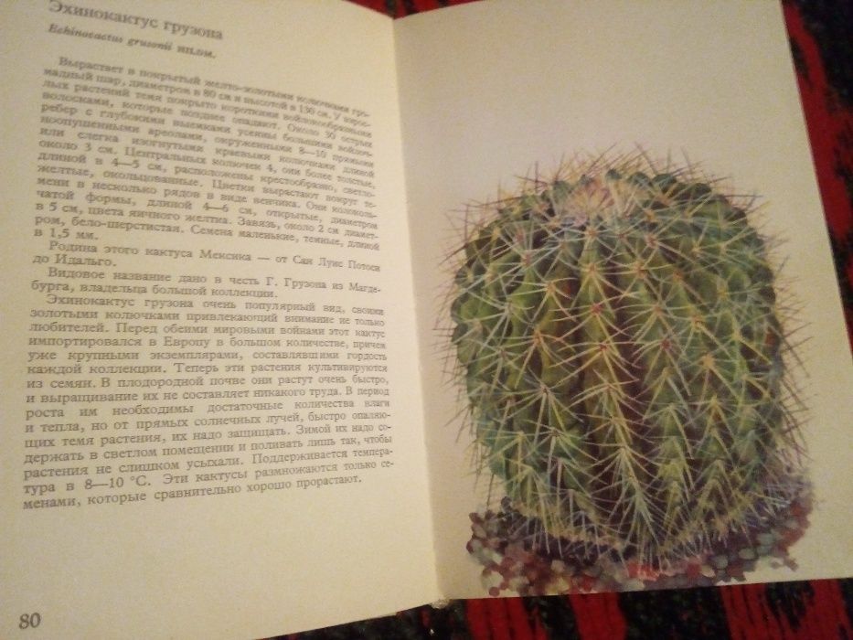 Иллюстрированные книги о разновидностях и выращивании кактусов