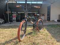 BMX 20c detox 510