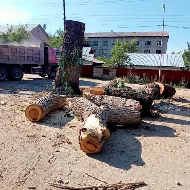 Пилим Деревья Недорого и Профессионально! Ағаштарды аралаймыз