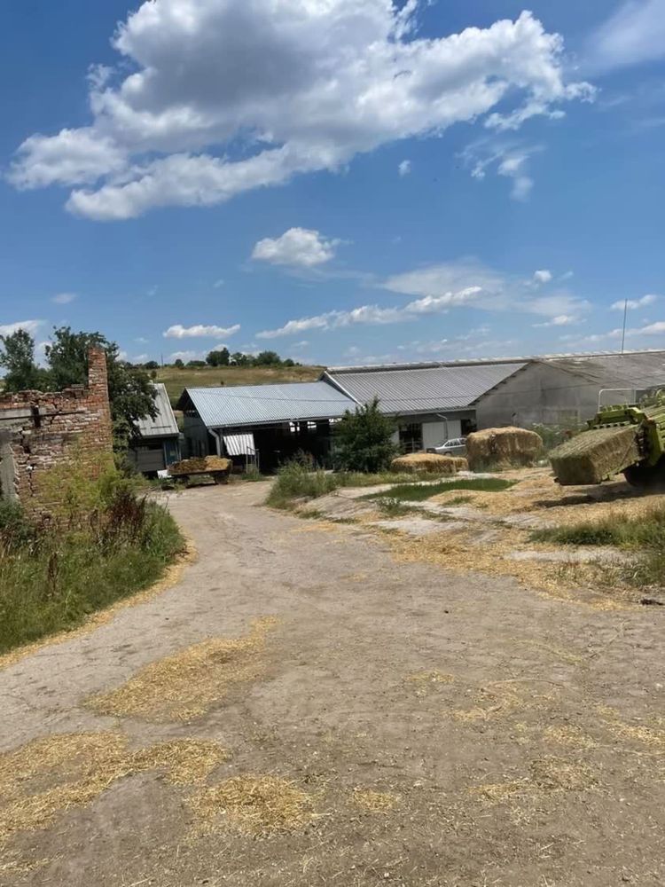 Продавам водеща ферма за мляко в югоизточна България